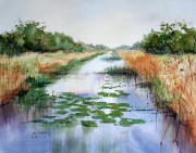 Lilies-Leven-Canal