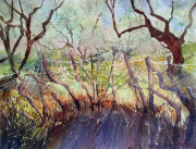 Pam-Williams-Olive-wood-fence-Greece