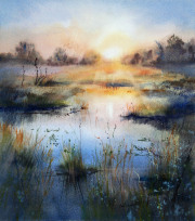 Reeds-at-sunrise