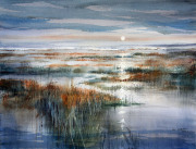 Saltmarsh-in-moonlight