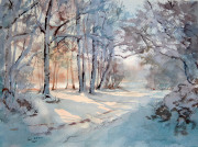 Shadows-in-the-snow