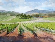 VIneyard-France-scaled