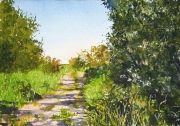Country lane, East Riding
