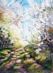 Clouds-of-blossom-scaled