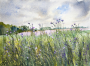 Fields-of-flax