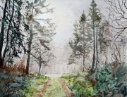 Forest path through the mist