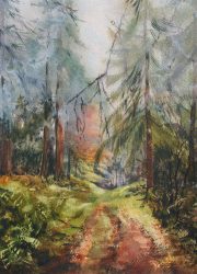 In-the-mist-Dalby-Forest-scaled