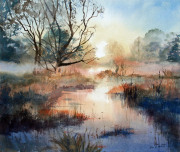 Marshland-mist