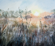 Morning-meadow