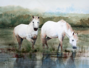 Wild-horses-in-reeds1
