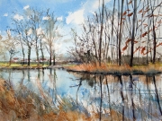 Winter-walk-Leven-canal