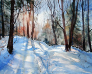 Wintersunshine